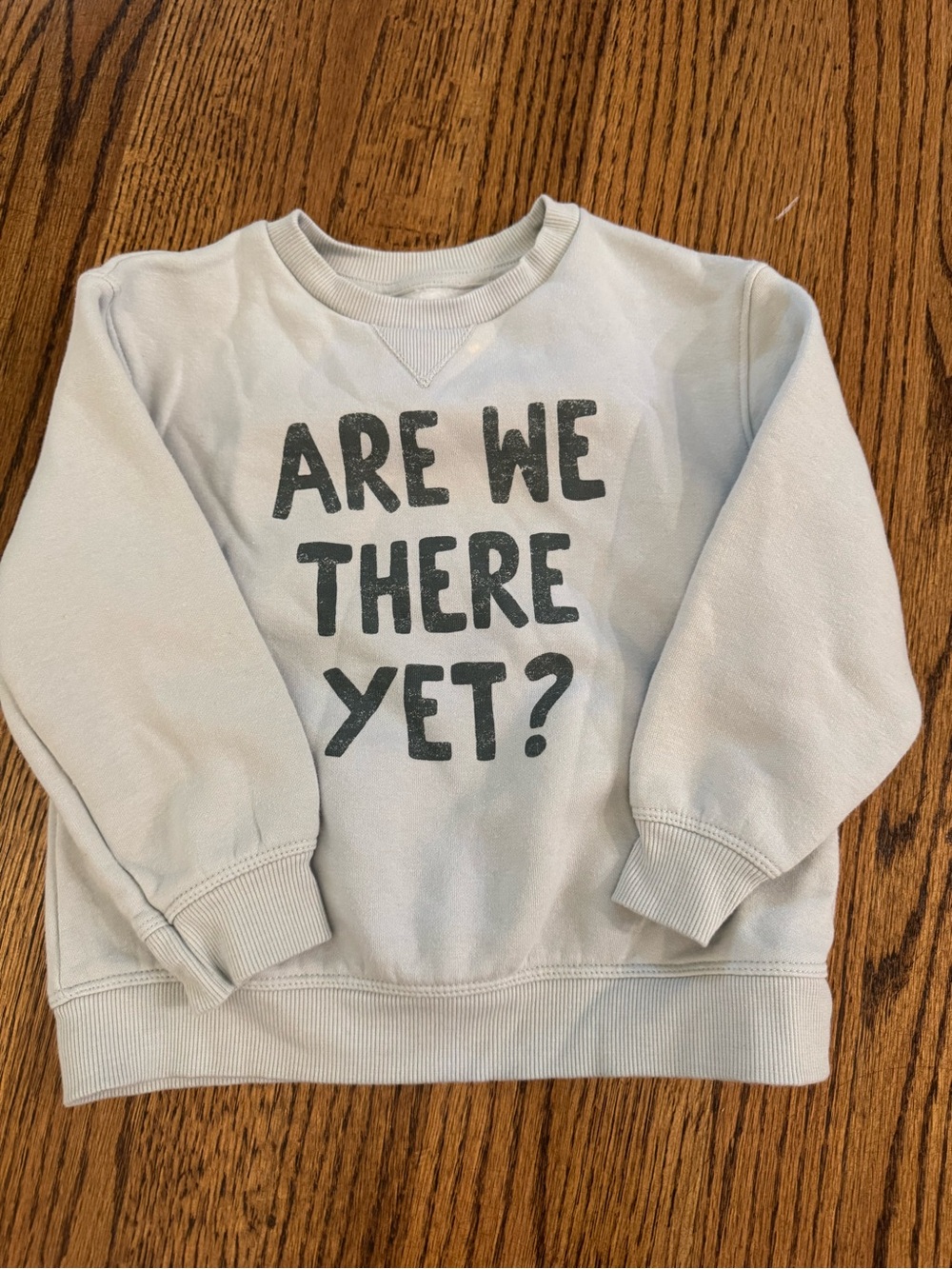 Kids Light Blue Sweatshirt with 'ARE WE THERE YET?' Graphic